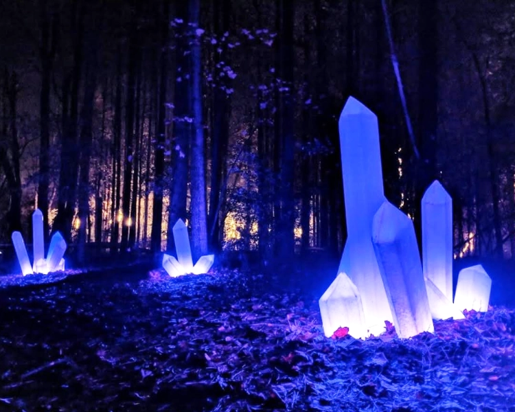 Enchanted Forrest