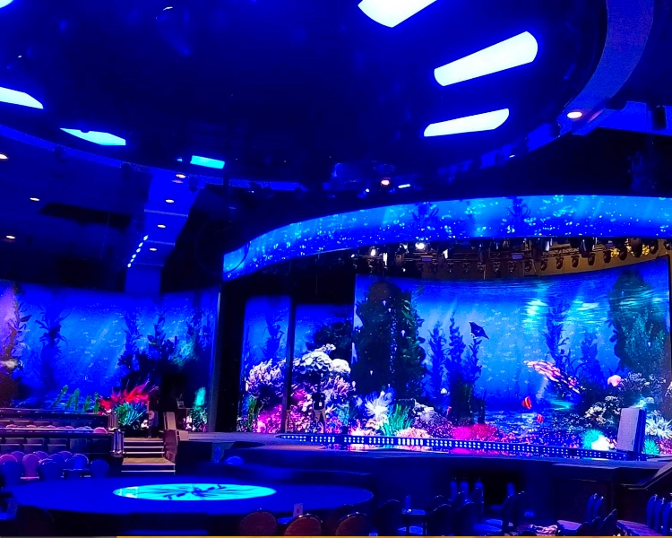 Large Custom Exhibit Under the Sea