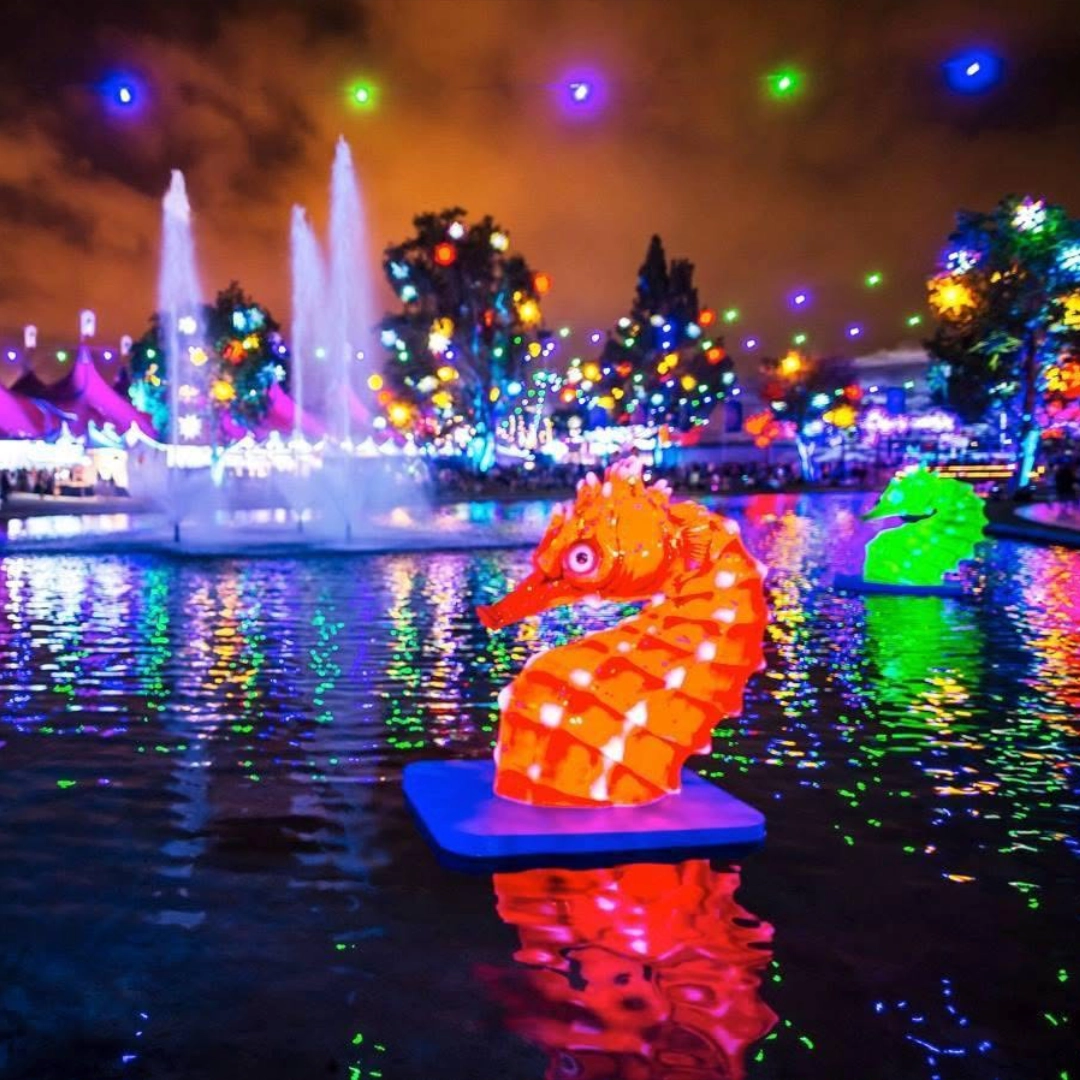 Seahorses floating in the water